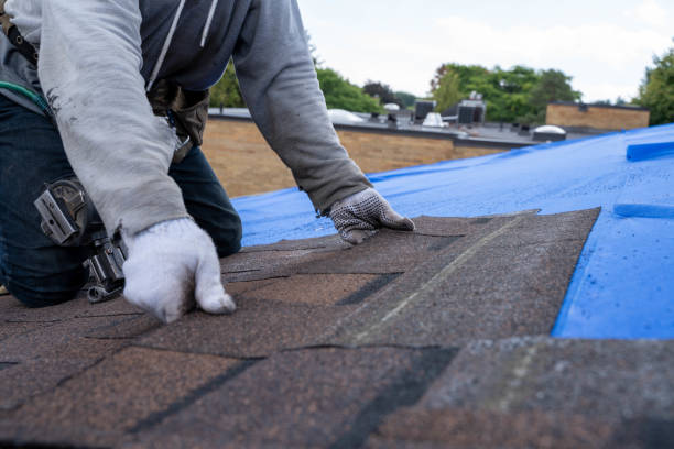 Trusted Taos, MO Roofing Contractor Experts
